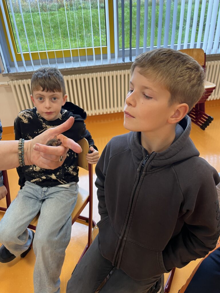 Schüler schaut sich Fledermaus aus der Nähe an.